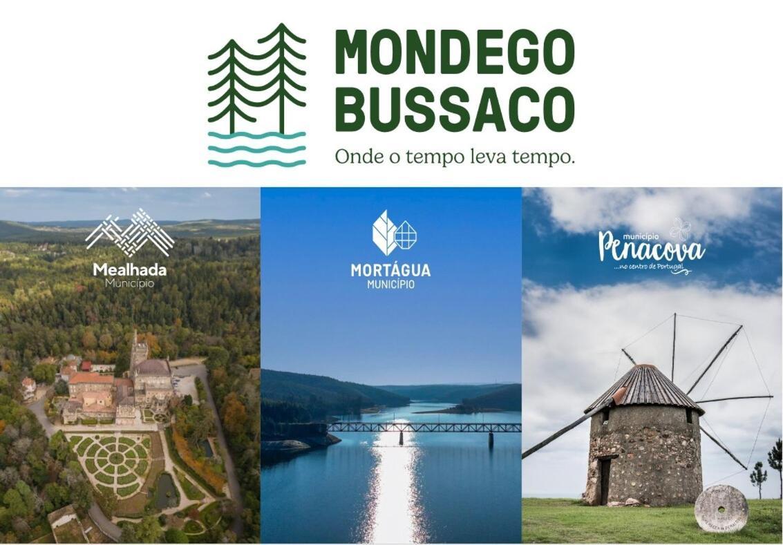 Mimosa Village - Turismo De Natureza Mortagua Exterior photo